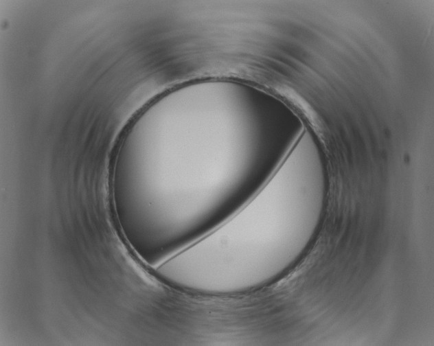 X0000088680894200705311021