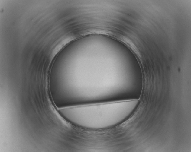X0000088680898200705311021