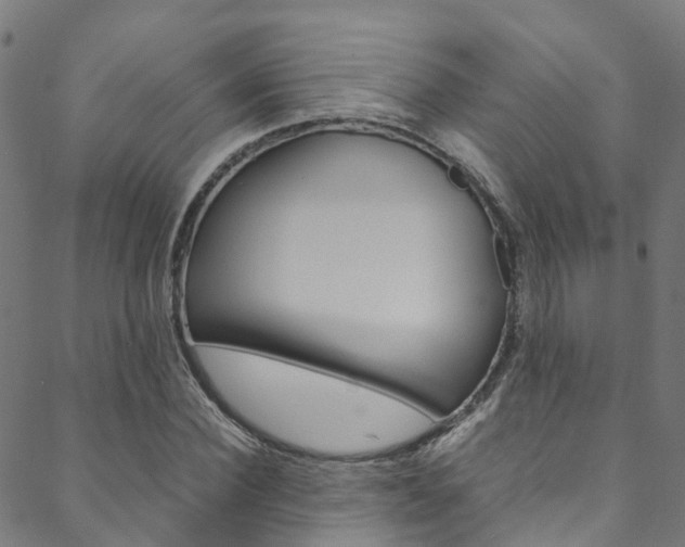 X0000088680924200705311020