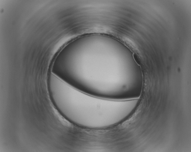 X0000088680942200705311020