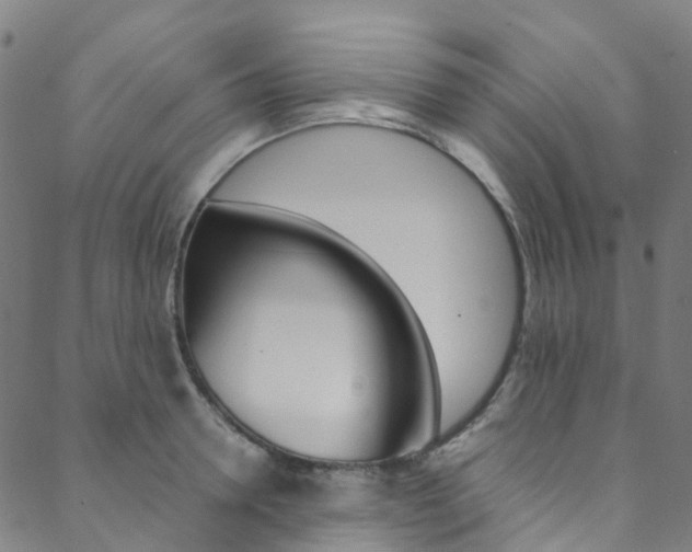X0000088680946200705311020