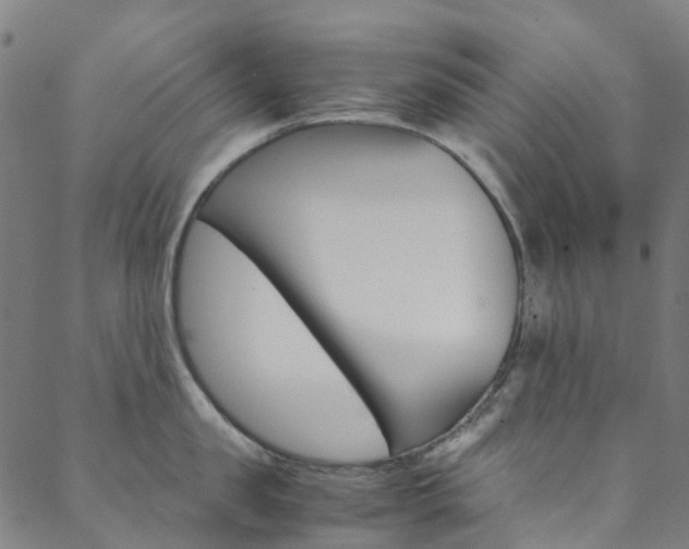 X0000088680957200705311020
