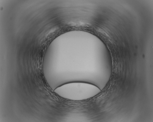 X0000088680966200705311019