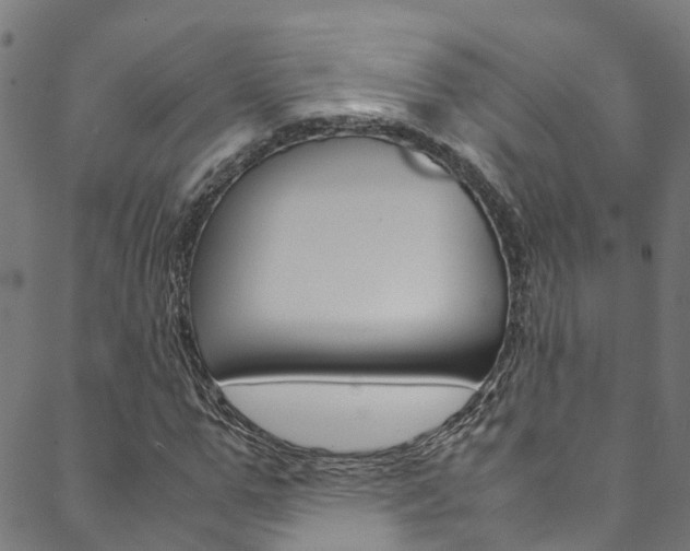 X0000088680967200705311019
