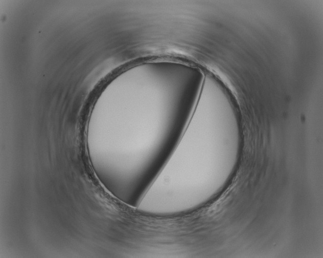 X0000088680975200705311019