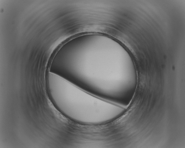 X0000088680980200705311019