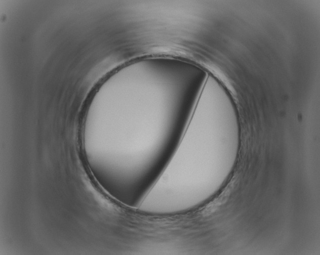 X0000088680991200705311019