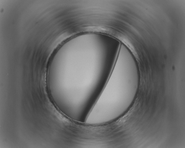 X0000088680992200705311019
