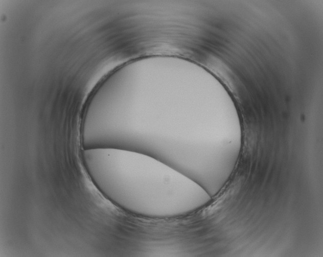 X0000088681000200705311019
