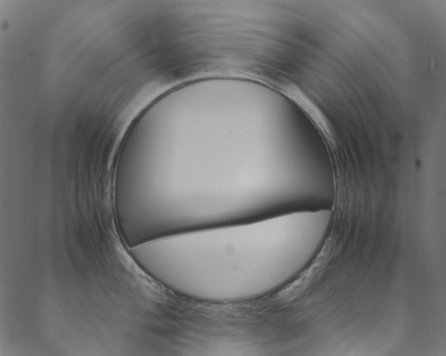 X0000088681004200705311019