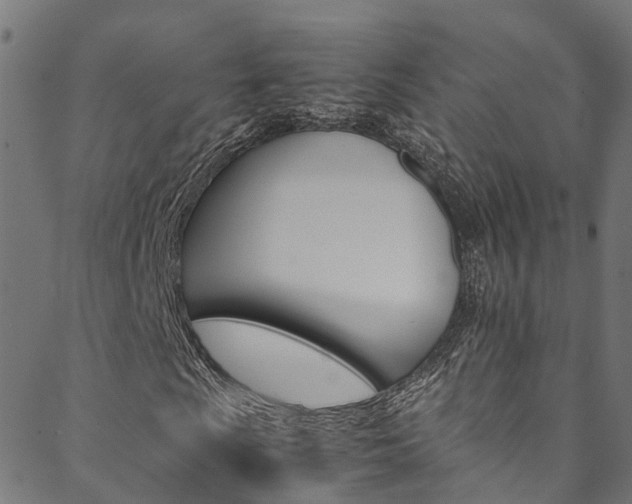 X0000088681009200705311018