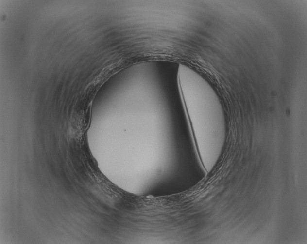X0000088681012200705311018