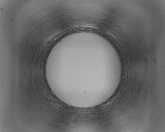 X0000088681014200705311018