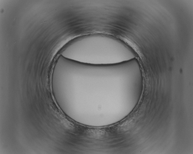 X0000088681023200705311018