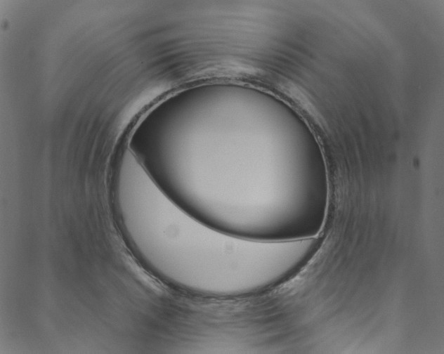 X0000088681026200705311018