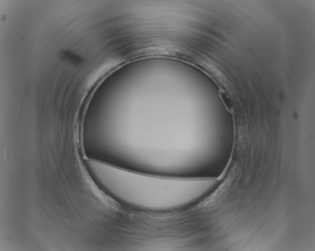 X0000088681034200705311018