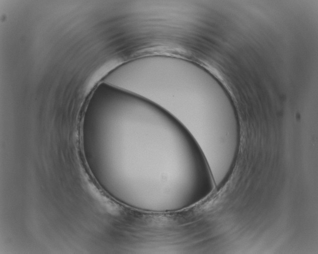 X0000088681042200705311019