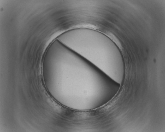 X0000088681044200705311019