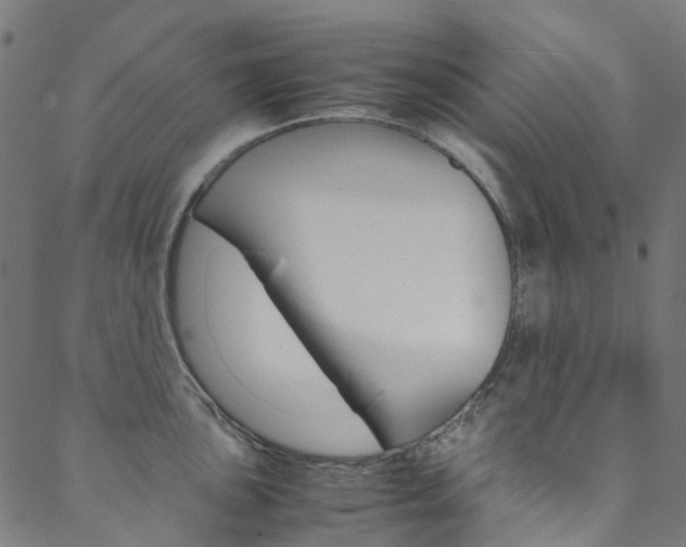 X0000088681051200705311019