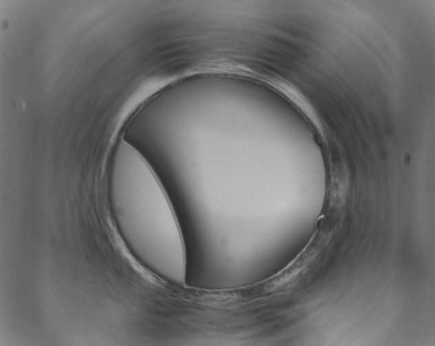 X0000088681053200705311019