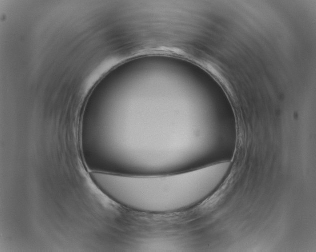 X0000088681054200705311019