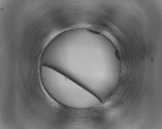 X0000088681055200705311019