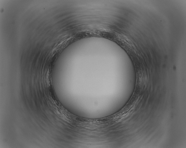 X0000088681060200705311018