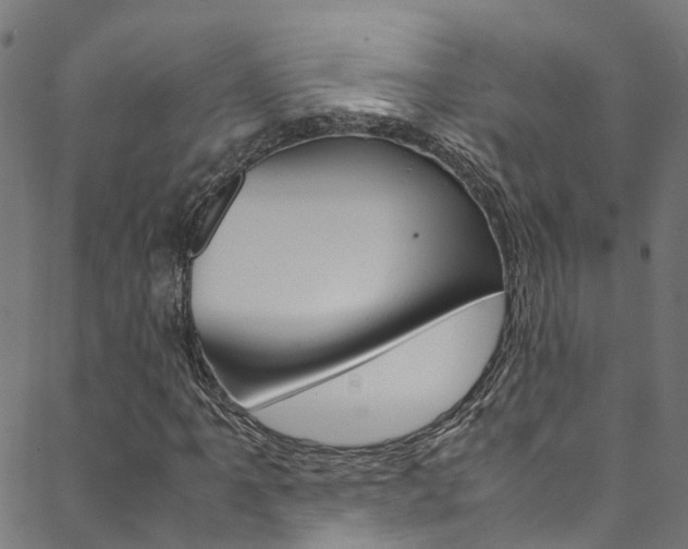 X0000088681061200705311018
