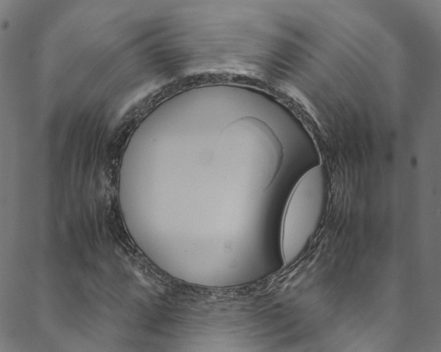 X0000088681064200705311018