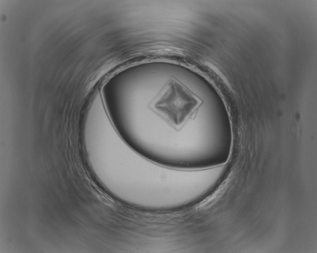 X0000088681065200705311018