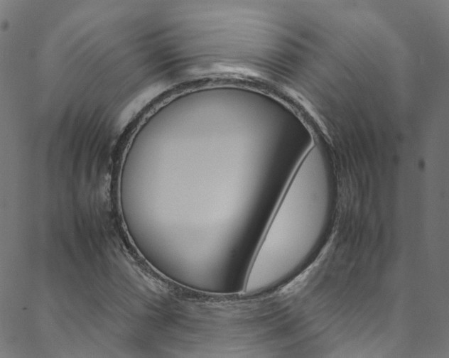 X0000088681066200705311018