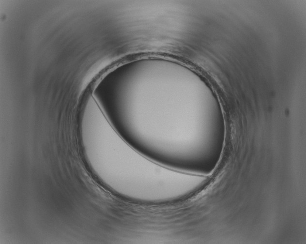 X0000088681069200705311018
