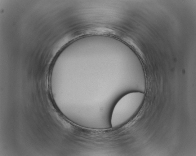 X0000088681083200705311018