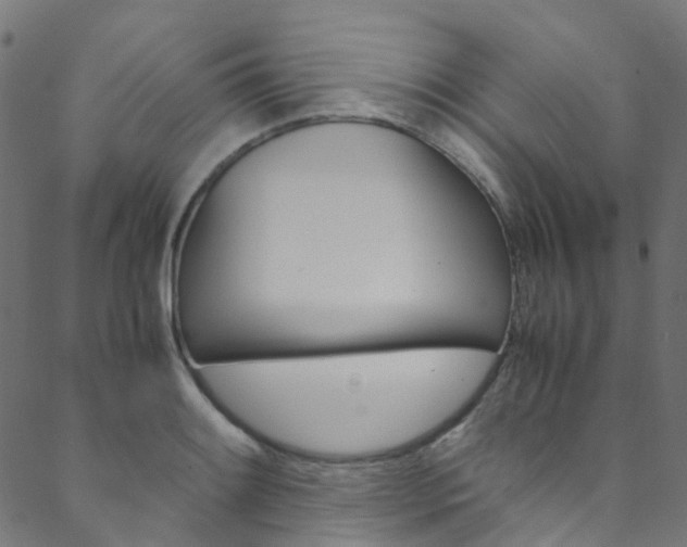 X0000088681084200705311018
