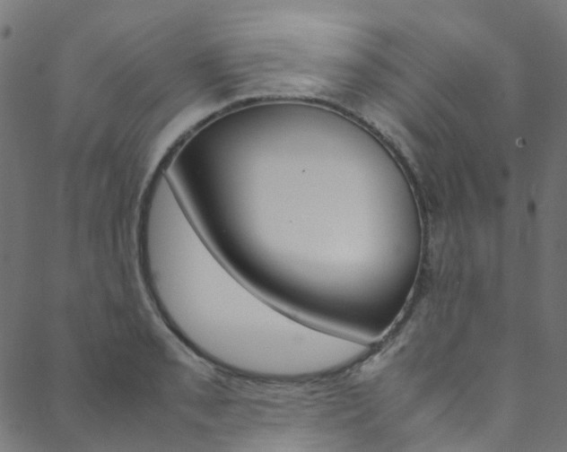 X0000088681085200705311018