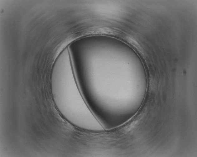 X0000088681089200705311018