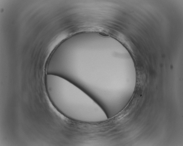 X0000088681095200705311017