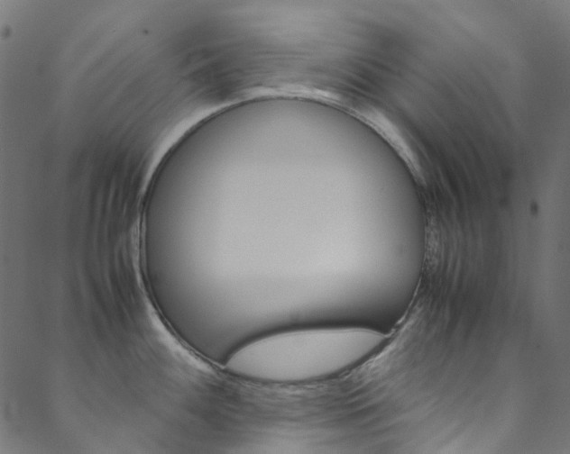 X0000088681100200705311017