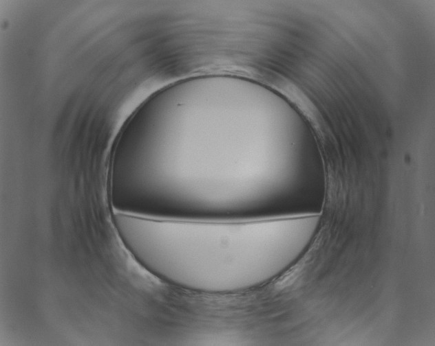 X0000088681102200705311017