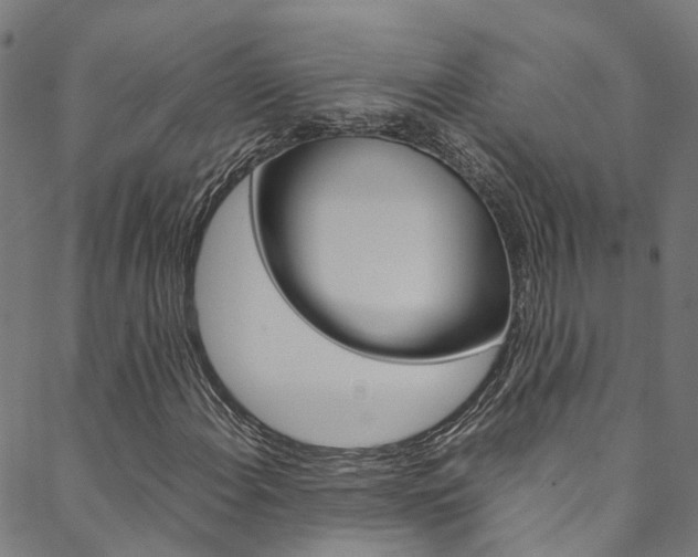 X0000088681108200705311017