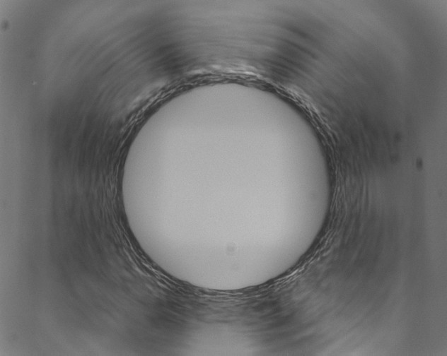 X0000088681110200705311017
