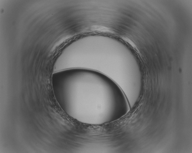 X0000088681112200705311017