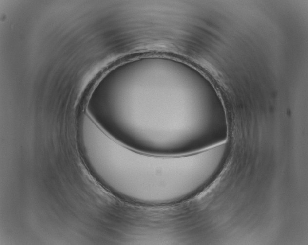 X0000088681118200705311017
