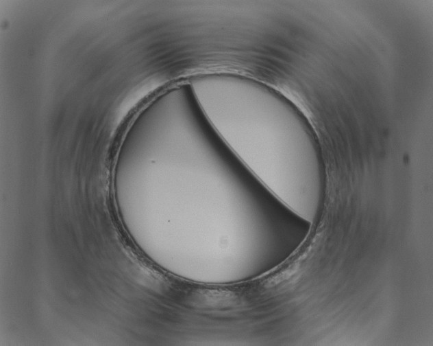 X0000088681119200705311017
