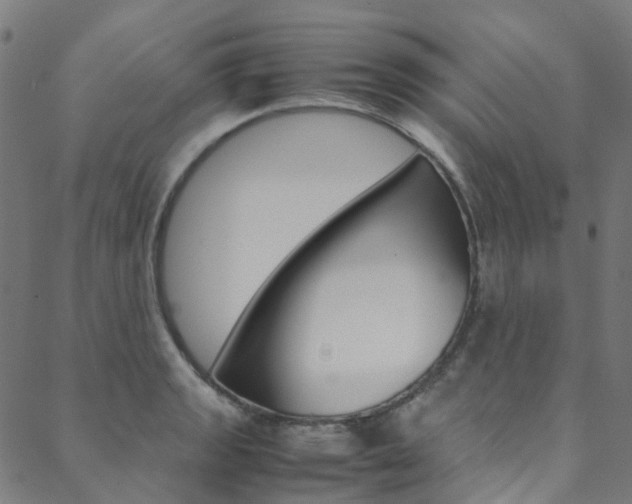 X0000088681133200705311017