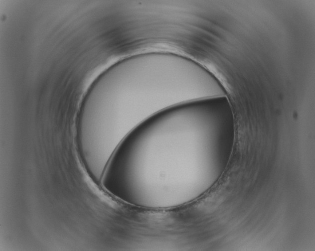 X0000088681134200705311017