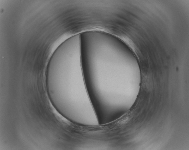 X0000088681151200705311017