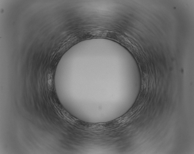 X0000088681154200705311016