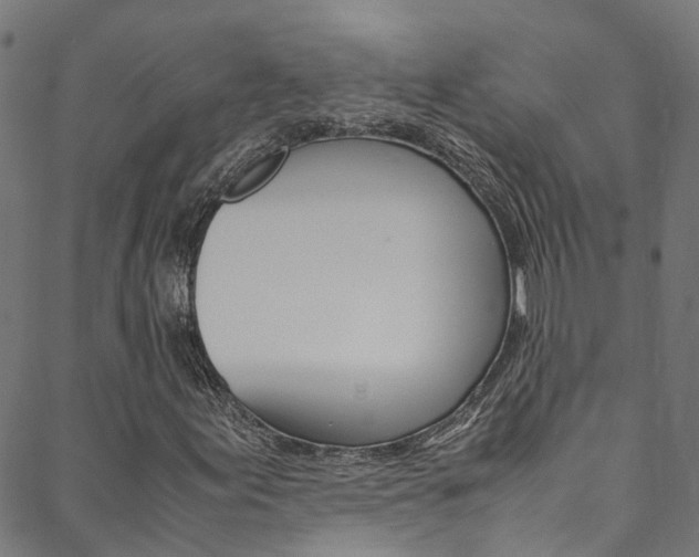 X0000088681155200705311016