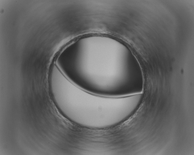 X0000088681168200705311016